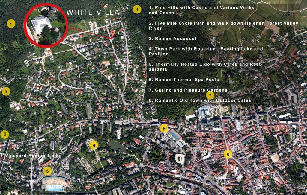 White Villa バーデン 部屋 写真